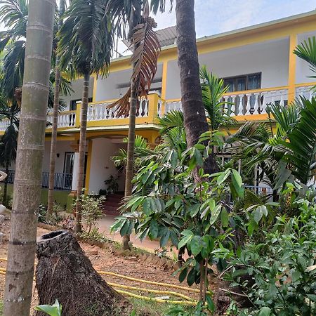 Lavish Exotic Hotel & Apartments Arambol Extérieur photo