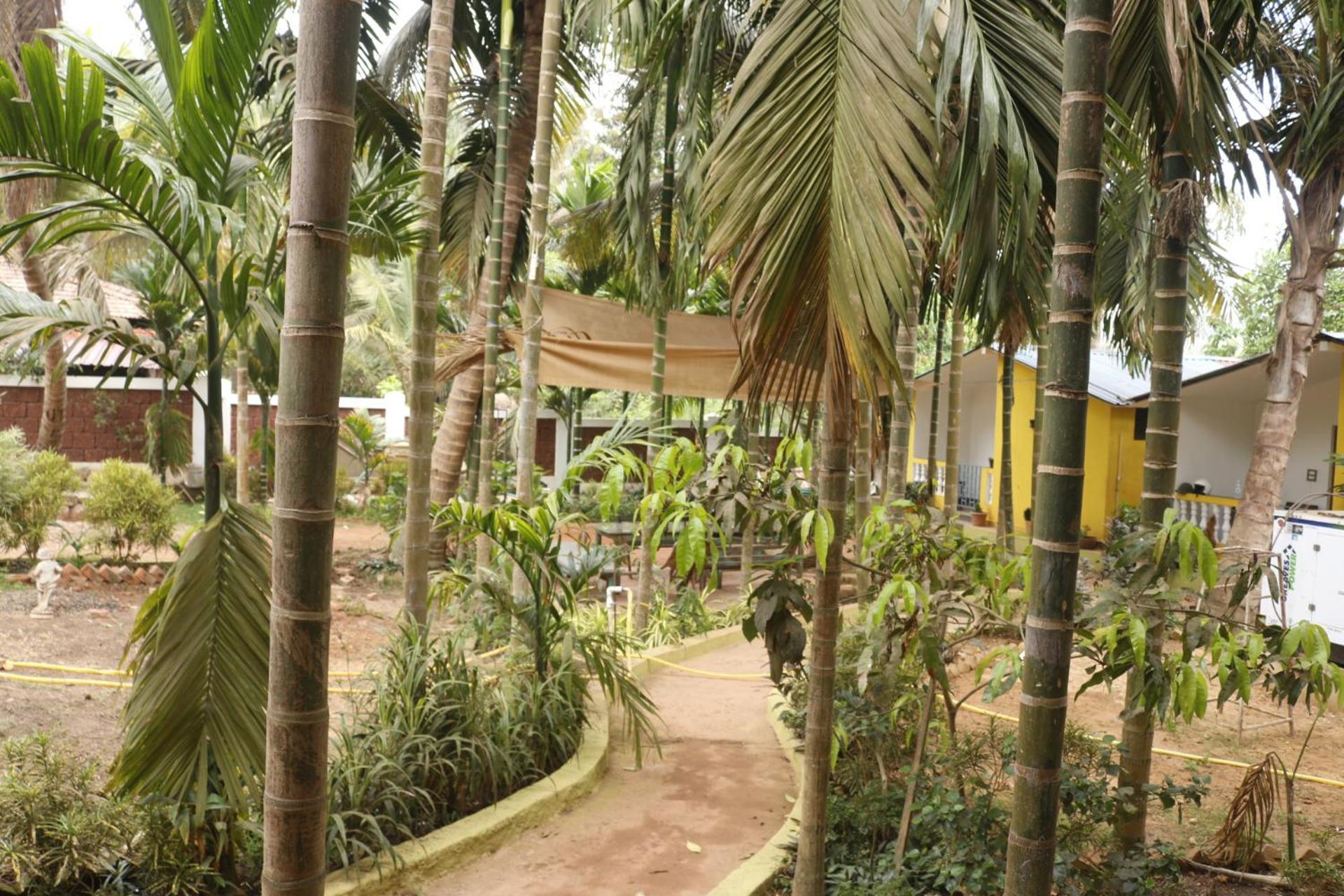 Lavish Exotic Hotel & Apartments Arambol Extérieur photo